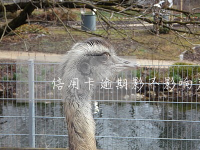信用卡逾期影不影响户口迁移 信用卡逾期影不影响户口迁移
