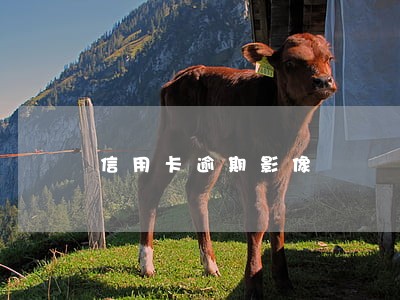 信用卡逾期影像 信用卡逾期影像