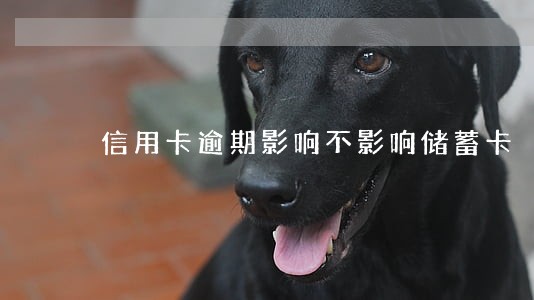 信用卡逾期影响不影响储蓄卡 信用卡逾期影响不影响储蓄卡