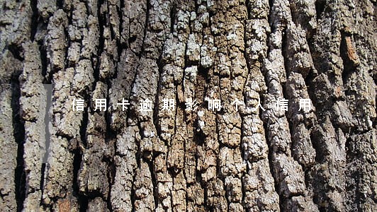 信用卡逾期影响个人信用 信用卡逾期影响个人信用