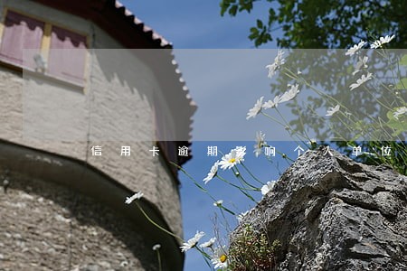 信用卡逾期影响个人单位吗