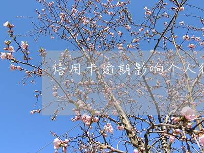 信用卡逾期影响个人征信多久 信用卡逾期影响个人征信多久
