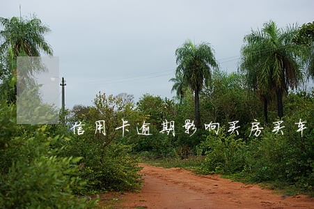 信用卡逾期影响买房买车吗 信用卡逾期影响买房买车吗