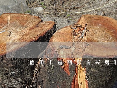 信用卡逾期影响买房利率嘛 信用卡逾期影响买房利率嘛