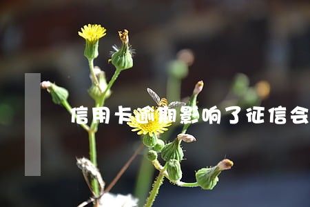 信用卡逾期影响了征信会导致什么 信用卡逾期影响了征信会导致什么