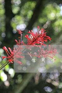 信用卡逾期影响交医保吗 信用卡逾期影响交医保吗