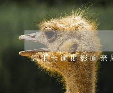信用卡逾期影响亲属人征信吗 信用卡逾期影响亲属人征信吗
