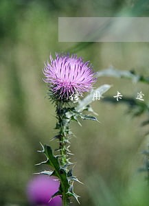 信用卡逾期影响亲属人的征信吗 信用卡逾期影响亲属人的征信吗