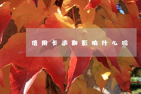 信用卡逾期影响什么吗