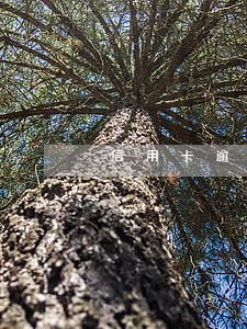 信用卡逾期影响什么影响 信用卡逾期影响什么影响
