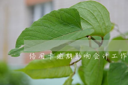 信用卡逾期影响会计工作 信用卡逾期影响会计工作