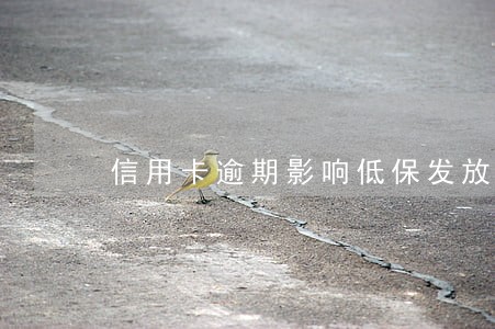 信用卡逾期影响低保发放么 信用卡逾期影响低保发放么