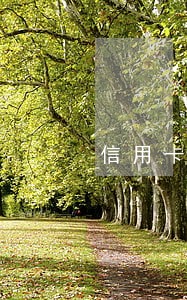 信用卡逾期影响低保户 信用卡逾期影响低保户