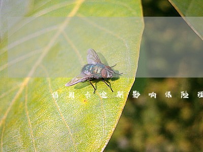 信用卡逾期影响保险理赔吗 信用卡逾期影响保险理赔吗