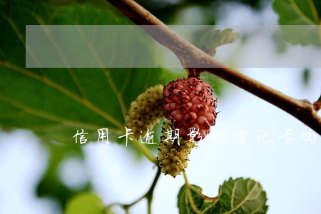 信用卡逾期影响借记卡吗 信用卡逾期影响借记卡吗