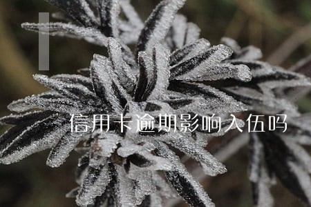 信用卡逾期影响入伍吗 信用卡逾期影响入伍吗