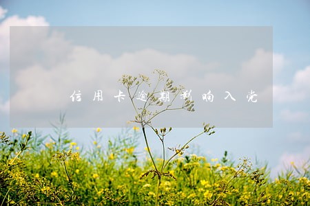 信用卡逾期影响入党 信用卡逾期影响入党