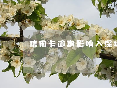 信用卡逾期影响入深圳户口吗 信用卡逾期影响入深圳户口吗