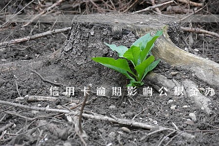 信用卡逾期影响公积金办理吗 信用卡逾期影响公积金办理吗