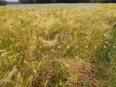 信用卡逾期影响公积金申请 信用卡逾期影响公积金申请