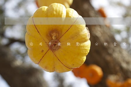 信用卡逾期影响公积金贷款吗6