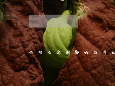 信用卡逾期影响公考么