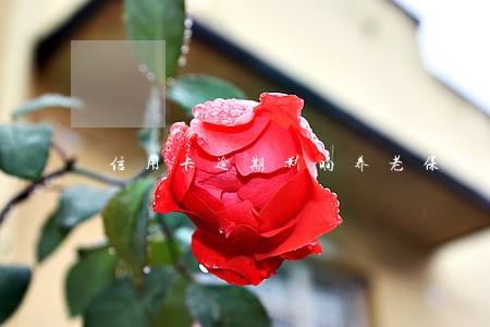 信用卡逾期影响养老保险吗 信用卡逾期影响养老保险吗