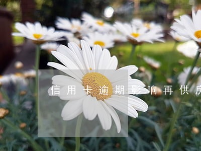 信用卡逾期影响再供房贷吗 信用卡逾期影响再供房贷吗