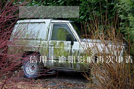 信用卡逾期影响再次申请吗 信用卡逾期影响再次申请吗