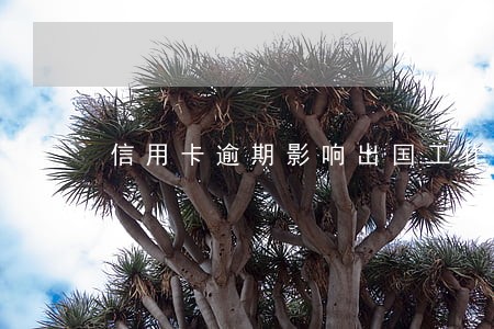 信用卡逾期影响出国工作吗 信用卡逾期影响出国工作吗
