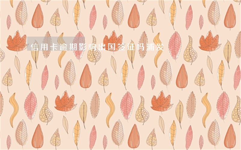 信用卡逾期影响出国签证吗浦发