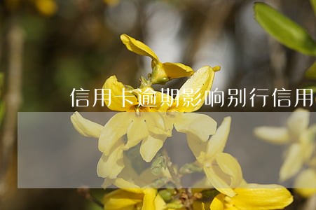 信用卡逾期影响别行信用卡吗 信用卡逾期影响别行信用卡吗