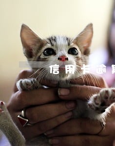信用卡逾期影响到公务员录取吗 信用卡逾期影响到公务员录取吗