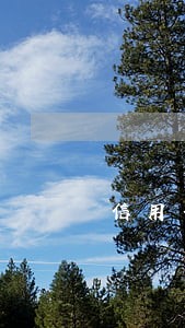 信用卡逾期影响到自己的征信吗 信用卡逾期影响到自己的征信吗
