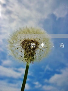 信用卡逾期影响办理本行储蓄卡 信用卡逾期影响办理本行储蓄卡