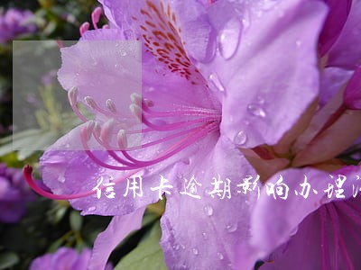 信用卡逾期影响办理深户吗