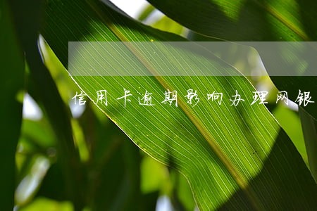 信用卡逾期影响办理网银盾么