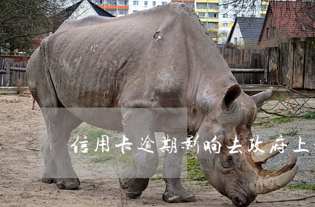 信用卡逾期影响去政府上班吗 信用卡逾期影响去政府上班吗