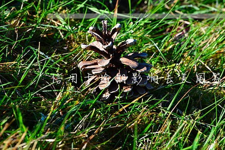 信用卡逾期影响去美国签证 信用卡逾期影响去美国签证
