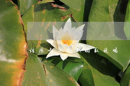 信用卡逾期影响取现吗 信用卡逾期影响取现吗