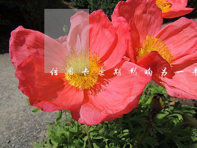 信用卡逾期影响另一半贷款 信用卡逾期影响另一半贷款