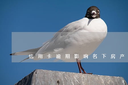 信用卡逾期影响名下房产吗 信用卡逾期影响名下房产吗