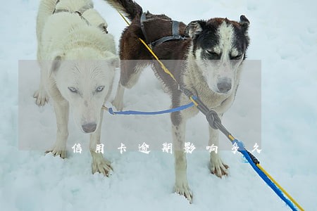 信用卡逾期影响多久 信用卡逾期影响多久