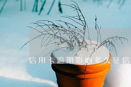信用卡逾期影响多久征信 信用卡逾期影响多久征信