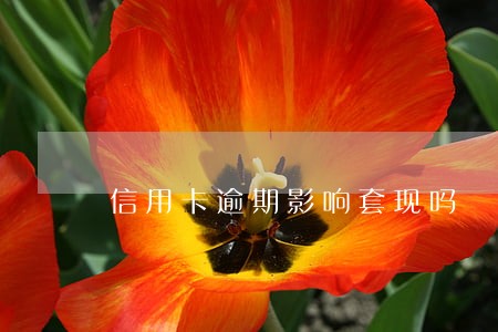 信用卡逾期影响套现吗