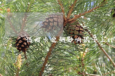 信用卡逾期影响孩子上什么学 信用卡逾期影响孩子上什么学