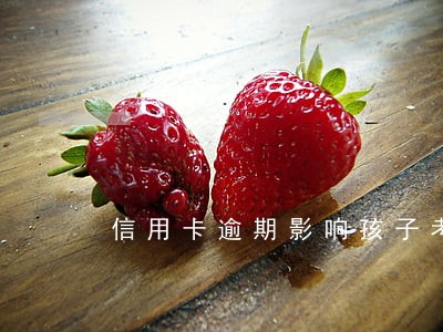 信用卡逾期影响孩子考事业编