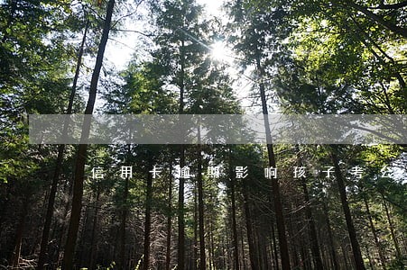信用卡逾期影响孩子考公务员吗 信用卡逾期影响孩子考公务员吗