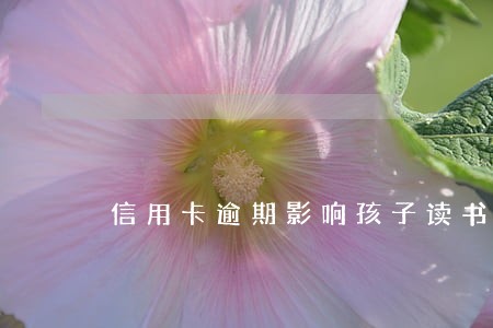 信用卡逾期影响孩子读书吗