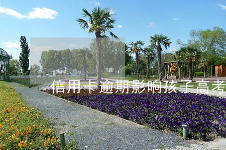 信用卡逾期影响孩子高考录取 信用卡逾期影响孩子高考录取